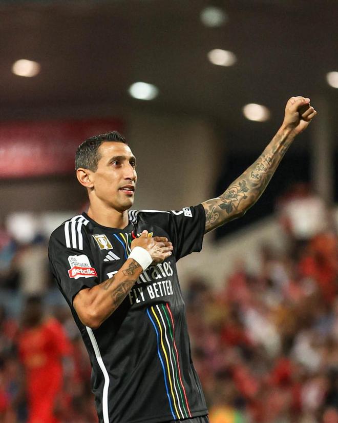 关于本菲卡训练开放日，集结日单刀错失引欢呼，荷甲在即，医务组通报恢复的信息